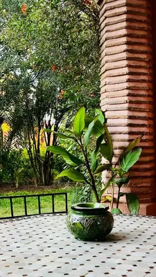a vase sitting on top of a table with a plant at Très joli Appart à la palmeraie coup de cœur in Marrakech