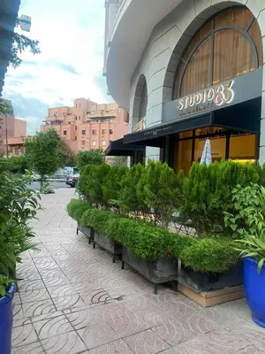 a row of plants sitting outside of a building at stylish appartment heart of gueliz in Marrakech