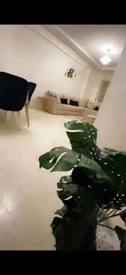 a living room with a couch and a plant at Glorieux appartement à gueliz in Marrakech