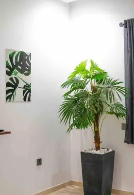 Gallery image of Appartement plaisant et bien équipé avec piscine in Marrakech