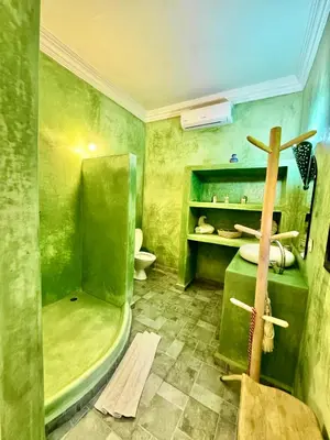 a green bathroom with a shower and a toilet at Riad Iklil in Marrakech