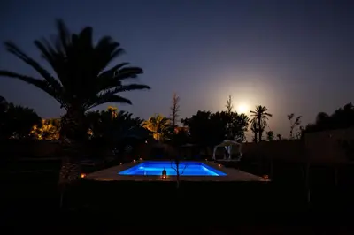 a swimming pool at night with a palm tree at Villa Warhol Marrakech in Marrakech
