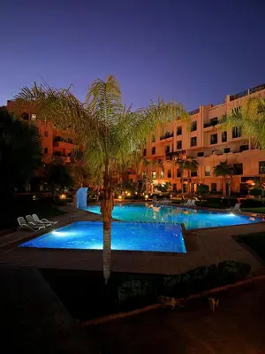 a palm tree next to a swimming pool at night at Appartement véranda marrakech in Marrakech