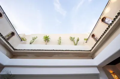 a ceiling with cactus plants on a shelf at Riad IMPERIA in Marrakech