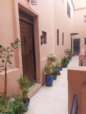 a row of potted plants sitting next to a door at Riad Habib - Traditional Moroccan 3 bedroom family home in Marrakech