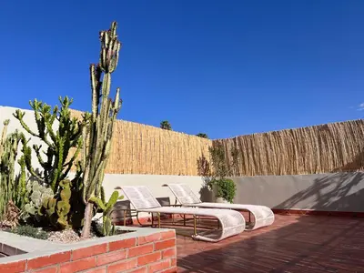a patio with two lounge chairs and a cactus at Riad Azad & Spa in Marrakech