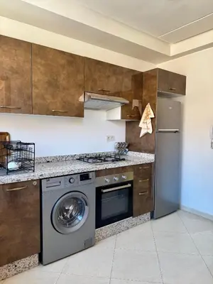 a kitchen with a washer and a dishwasher at Charmant Appartement au Cœur de la Ville in Marrakech