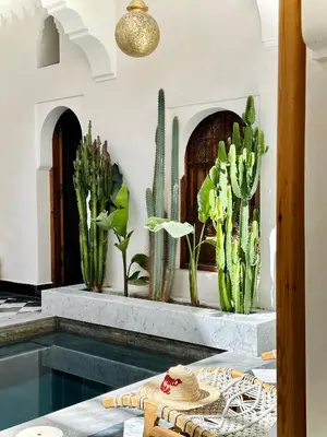 a room with a swimming pool and cactuses at Riad LallaBaya in Marrakech