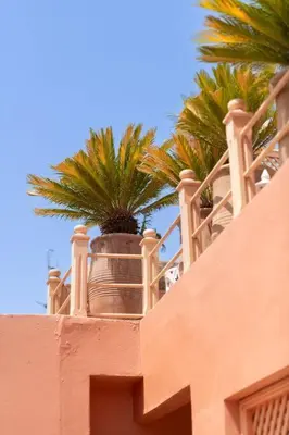 a plant in a pot on top of a building at Riad Le Petit Bacha in Marrakech