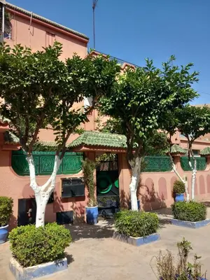 two trees in front of a pink building at Rooftop centre ville Marrakech in Marrakech