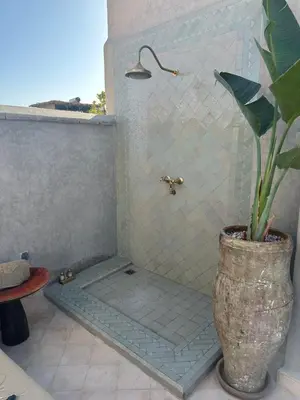 a bathroom with a shower with a potted plant at Riad des Fragrances dar el Bacha in Marrakech