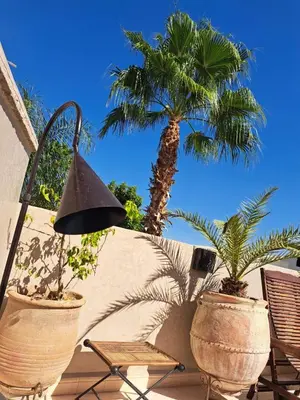 a patio with two chairs and a palm tree at Riad des Fragrances dar el Bacha in Marrakech