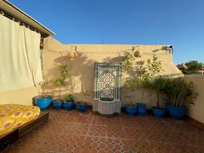 a patio with a bunch of potted plants and a gate at Riad Mama Toutou in Marrakech