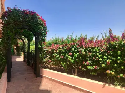 a garden with pink flowers and an arch at OASIS PALM MARRAKECH APARTMENT- 5 Piscines in Marrakech