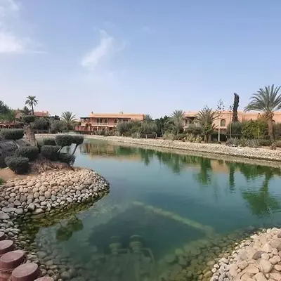 NEW appartement in palmeraie