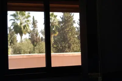 a window with a view of a palm tree at Appartement centre de Marrakech in Marrakech