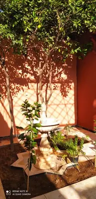 a garden with a fountain and trees in the background at maison d'hôtes Le petit jardin Marrakech in Marrakech