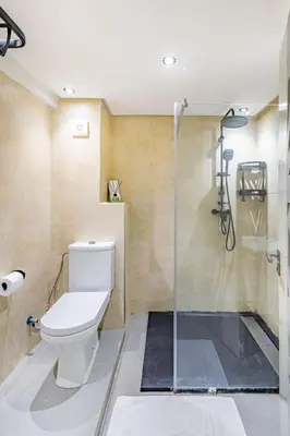 a bathroom with a toilet and a shower at Duplex Centre-ville Guéliz in Marrakech