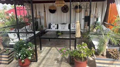 a living room with potted plants and a couch at Dar L'hna in Marrakech