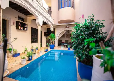 a swimming pool with potted plants in a building at Riad Tala in Marrakech