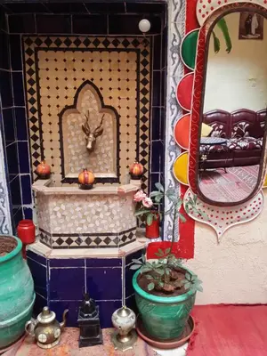 a room with a mirror and a potted plant at Riad Espagne in Marrakech