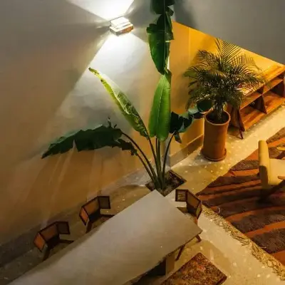 77 by Riad Club