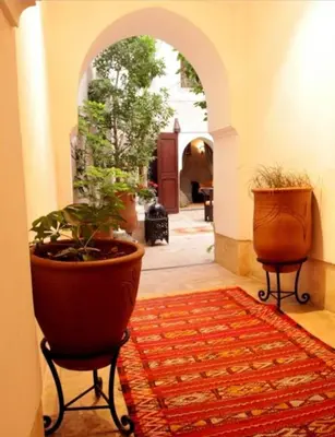 a hallway with two large potted plants and an entry way at Riad Dar Rania Marrakech Médina Jemaa El Fna in Marrakech