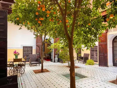 an orange tree in the middle of a courtyard at Riad Amethyste in Marrakech