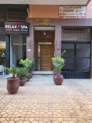 a row of potted plants in front of a building at hamza in Marrakech