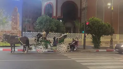 a horse drawn carriage on a city street at hamza in Marrakech