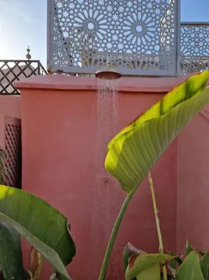 a plant with green leaves next to a wall at RIAD SAMAH in Marrakech