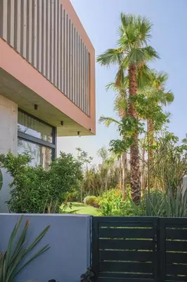 a palm tree in front of a building with a gate at VIP villa in Marrakech