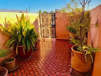 a patio with potted plants and a gate with plants at Dar Dadès in Marrakech
