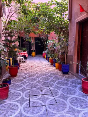 a courtyard with a bunch of potted plants at Riad khoya magnifique in Marrakech