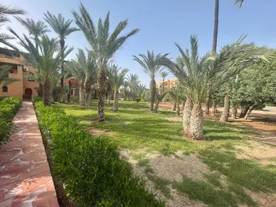 a row of palm trees in a yard at Fabuleux appartement, rez de jardin au sein de la palmeraie in Marrakech