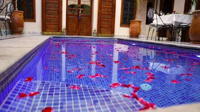 a swimming pool with red bows in the water at Riad Touhfa Kasbah Marrakech in Marrakech