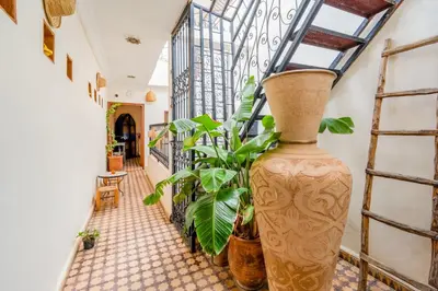 a hallway with a large vase and plants at Riad médina- 3 Rooms Marrakech in Marrakech