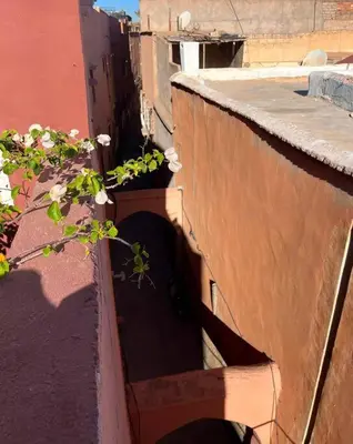 a stairway with plants on the side of a building at Dar Mawa, a 1 min de Jemaa el Fna in Marrakech