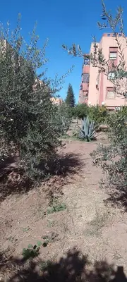 a large pink building with trees in front of it at Angel Appartement in Marrakech