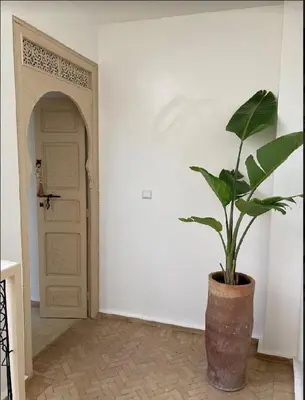 a plant in a pot in front of a door at Riad KaBaYa Charme Exclusif Privatisé 2 à 8 Pers. in Marrakech