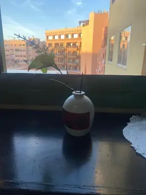 a vase with a plant sitting in a window at superbe appartement à Gueliz in Marrakech