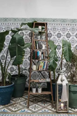 a book shelf with books and plants on it at Riad BE Marrakech in Marrakech