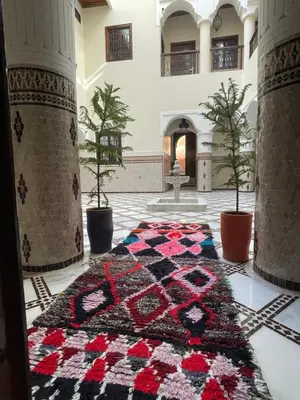a moroccan rug on the floor in a room with potted plants at Riad hotel Cecil in Marrakech