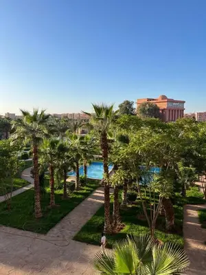 a view of a park with palm trees and a pool at Appartement Hivernage M Avenue in Marrakech