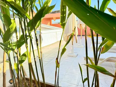 a group of umbrellas and plants next to a pool at Riad Arrahma in Marrakech