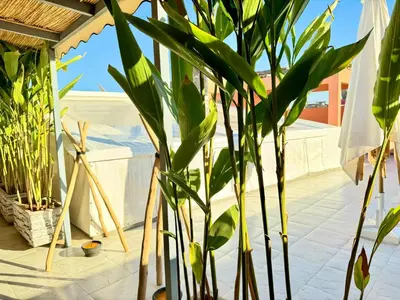 a group of potted plants sitting on a patio at Riad Arrahma in Marrakech
