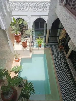 an overhead view of a swimming pool with potted plants at Riad Palau Marrakech in Marrakech
