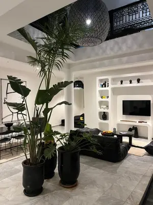 a living room with two potted plants and a couch at Riad Dar Belhaj in Marrakech