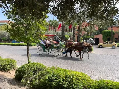 a horse drawn carriage on a city street at Chic & Lovely Flat in City Center in Marrakech