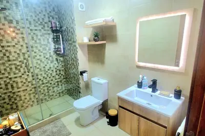 a bathroom with a shower and a toilet and a sink at appartement chic haut standing centre gare in Marrakech